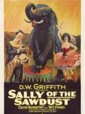 Affiche de Sally, fille de cirque, film à voir en streaming sur Pygargue