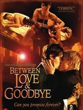 Affiche de Between Love & Goodbye, film à voir en streaming sur Pygargue