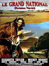 Affiche de Le Grand national, film à voir en streaming sur Pygargue