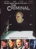 Affiche de The Criminal, film à voir en streaming sur Pygargue