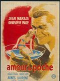 Affiche de Un amour de poche, film à voir en streaming sur Pygargue