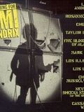Affiche de Searching for Jimi Hendrix, film à voir en streaming sur Pygargue