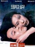 Affiche de Green Fish, film à voir en streaming sur Pygargue