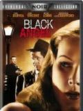 Affiche de L'Ange noir, film à voir en streaming sur Pygargue