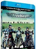 Affiche de Freebird, film à voir en streaming sur Pygargue