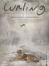Affiche de Curling, film à voir en streaming sur Pygargue
