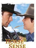 Affiche de Le Ranch du bonheur (TV), film à voir en streaming sur Pygargue