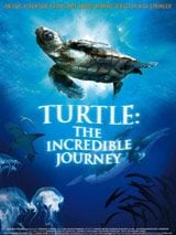 Turtle: The Incredible Journey - Music from the Motion Picture