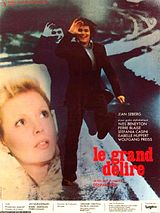 Affiche de Le Grand Délire, film à voir en streaming sur Pygargue