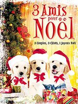 Affiche de 3 Amis pour Noël, film à voir en streaming sur Pygargue