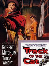Affiche de Track of the Cat, film à voir en streaming sur Pygargue