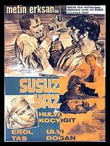 Affiche de L'Été torride, film à voir en streaming sur Pygargue