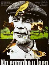 Affiche de A l'orée de la forêt, film à voir en streaming sur Pygargue