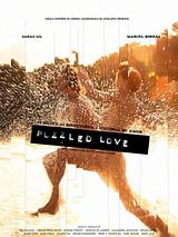 Affiche de Puzzled Love, film à voir en streaming sur Pygargue
