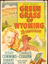 Affiche de L'herbe verte du Wyoming, film à voir en streaming sur Pygargue