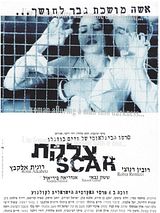 Affiche de La Cicatrice, film à voir en streaming sur Pygargue