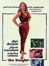 Affiche de Le Cambrioleur, film à voir en streaming sur Pygargue