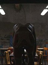 Affiche de Coureur, film à voir en streaming sur Pygargue