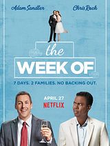 Affiche de Mariage à Long Island, film à voir en streaming sur Pygargue