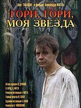 Affiche de Brille, mon Etoile, brille, film à voir en streaming sur Pygargue