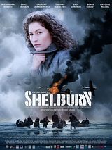 poster du film Le Réseau Shelburn