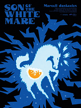 poster du film Le Fils de la jument blanche