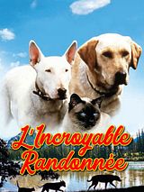 Affiche de L'incroyable randonnée, film à voir en streaming sur Pygargue