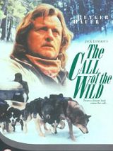 Affiche de L'Appel de la forêt, film à voir en streaming sur Pygargue