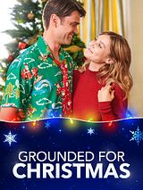 Affiche de Dernière escale avant Noël, film à voir en streaming sur Pygargue