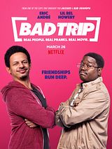 Affiche de Bad Trip, film à voir en streaming sur Pygargue