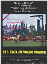Affiche de The Dog That Loved Trains, film à voir en streaming sur Pygargue