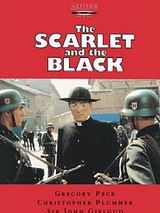 Affiche de La Pourpre et le Noir, film à voir en streaming sur Pygargue