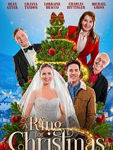 Affiche de Une alliance pour Noël, film à voir en streaming sur Pygargue