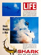 Affiche de Shark, film à voir en streaming sur Pygargue