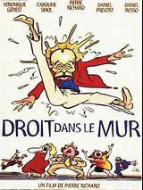 Affiche de Droit dans le mur, film à voir en streaming sur Pygargue