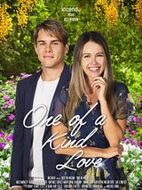 Affiche de Romance et pierres précieuses, film à voir en streaming sur Pygargue