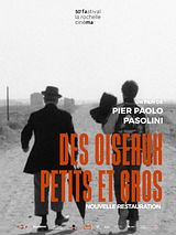 poster du film Des oiseaux petits et gros