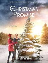 Affiche de P.S. Joyeux Noël, film à voir en streaming sur Pygargue