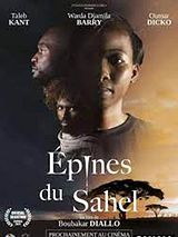 Affiche de Epines du Sahel, film à voir en streaming sur Pygargue