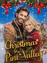 Affiche de Une famille sur mesure pour Noël, film à voir en streaming sur Pygargue