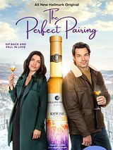 Affiche de Coup de foudre et amnésie, film à voir en streaming sur Pygargue