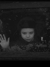 photo de Dmitriy Kobetskoy