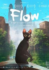 Flow, le chat qui n'avait plus peur de l'eau