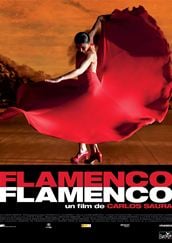 Flamenco, Flamenco