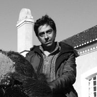 Photo Miguel Gomes