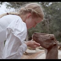 Photo Sara Carlson
