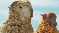 image de Les Moutons Détectives Bande-annonce VF