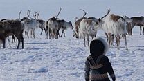 image de ALTAÏR conférences - Arctique, la Vie en Nord Bande-annonce VF
