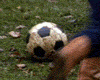 image de Together Extrait vidéo VF