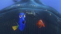 image de Le Monde de Nemo Extrait vidéo (4) VF